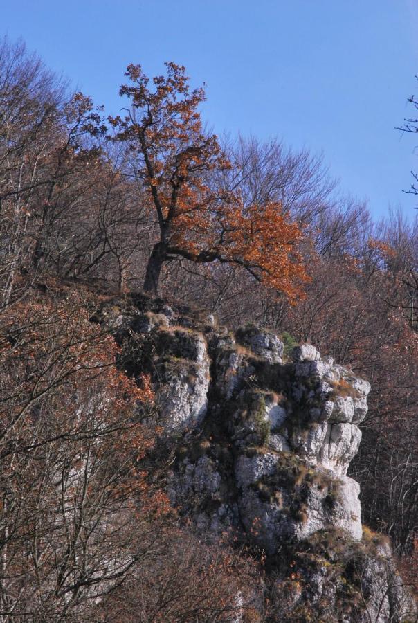 Pokoje Goscinne U Grazyny Ойцув Екстер'єр фото